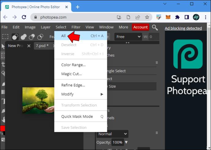 How To Resize An Image In PhotoPea