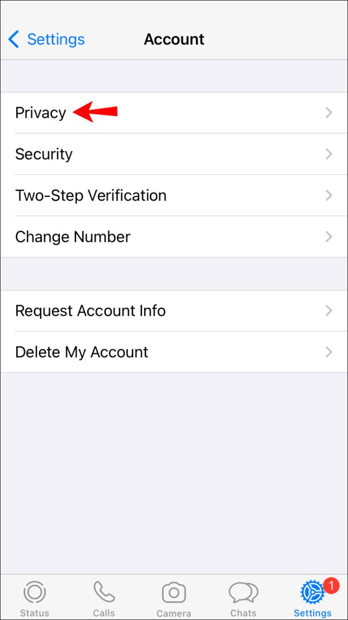 How To Hide Your Online Status On WhatsApp