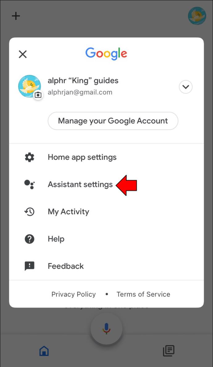 How To Open & Manage Google Assistant Settings