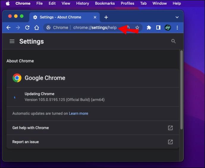 How To Disable Automatic Updates In Google Chrome