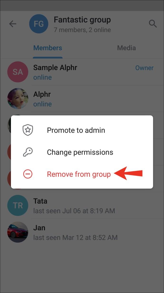 Comment supprimer un utilisateur d'un groupe dans Telegram