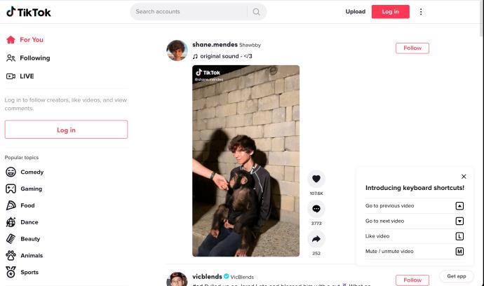 Comment afficher votre historique de surveillance dans TikTok