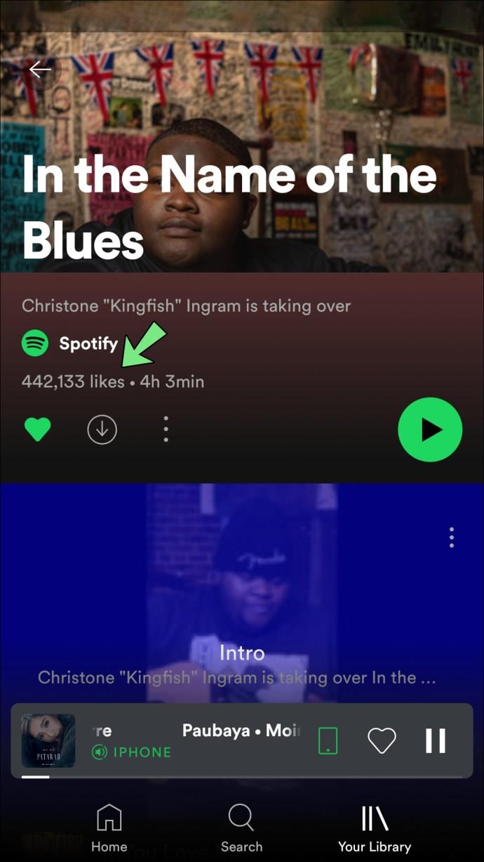 Puoi controllare a chi è piaciuta la tua playlist in Spotify?