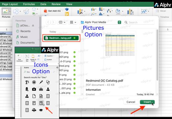 How To Embed A PDF In An Excel File