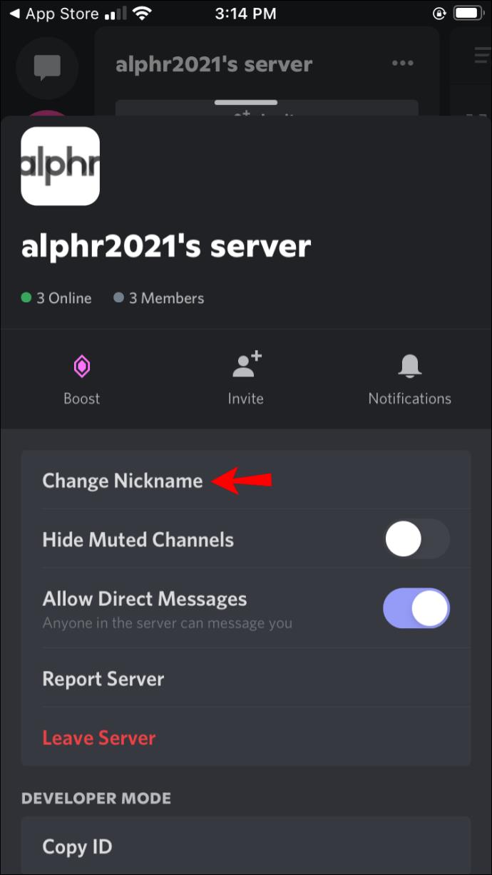 How To Make An Invisible Discord Name