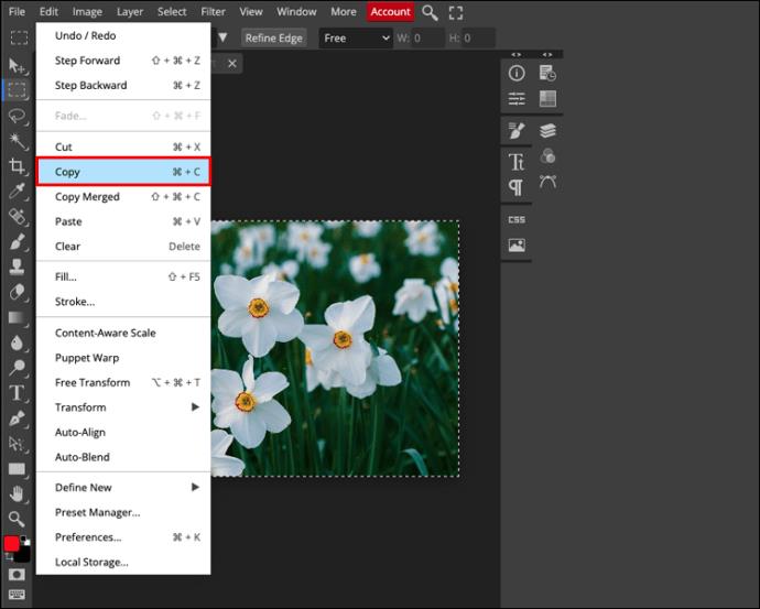 Comment redimensionner une image dans PhotoPea