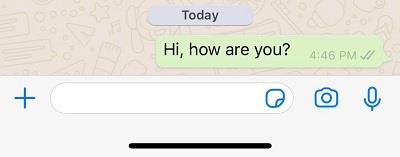 Pourquoi mon message na-t-il quun seul tick dans WhatsApp ?