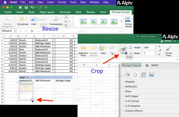 How To Embed A PDF In An Excel File