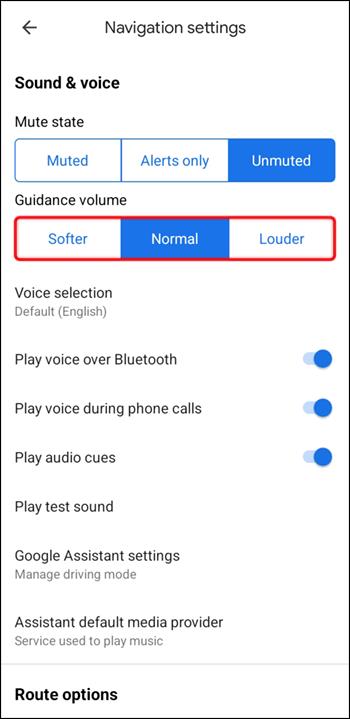 Comment réparer Google Maps Voice ne fonctionne pas