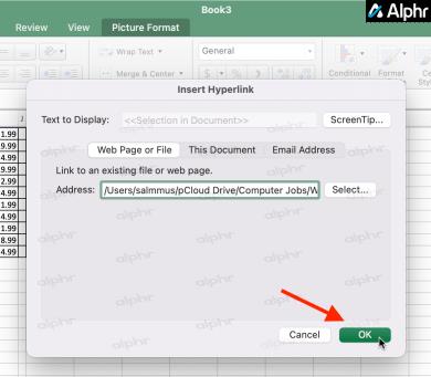 How To Embed A PDF In An Excel File