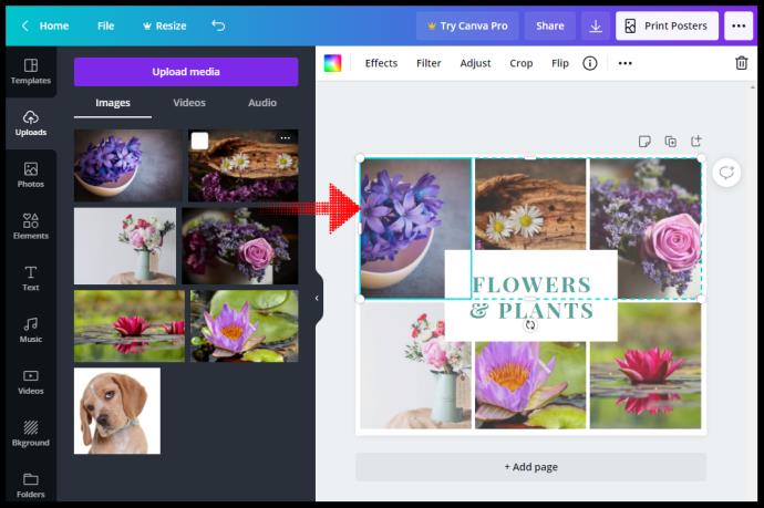 How To Make A Picture Round In Canva