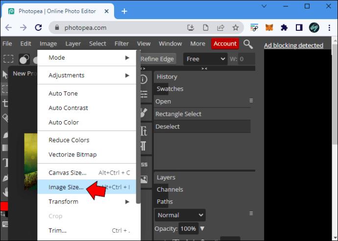 How To Resize An Image In PhotoPea