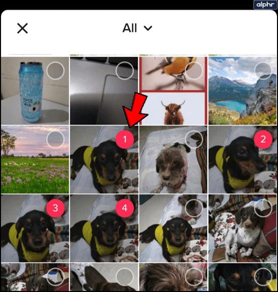 How To Make A Photo Collage For The Tik Tok App