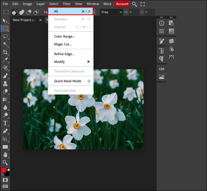 How To Resize An Image In PhotoPea