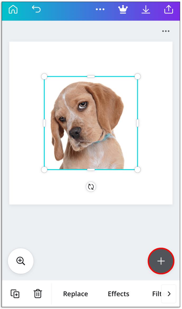 How To Make A Picture Round In Canva