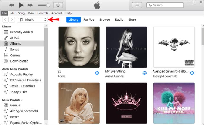 Apple Music : comment télécharger toutes les chansons