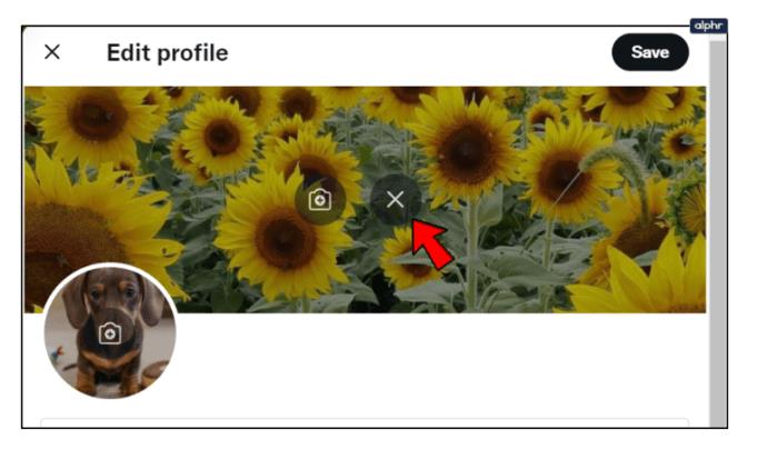 How To Remove Your Profile Picture On Twitter