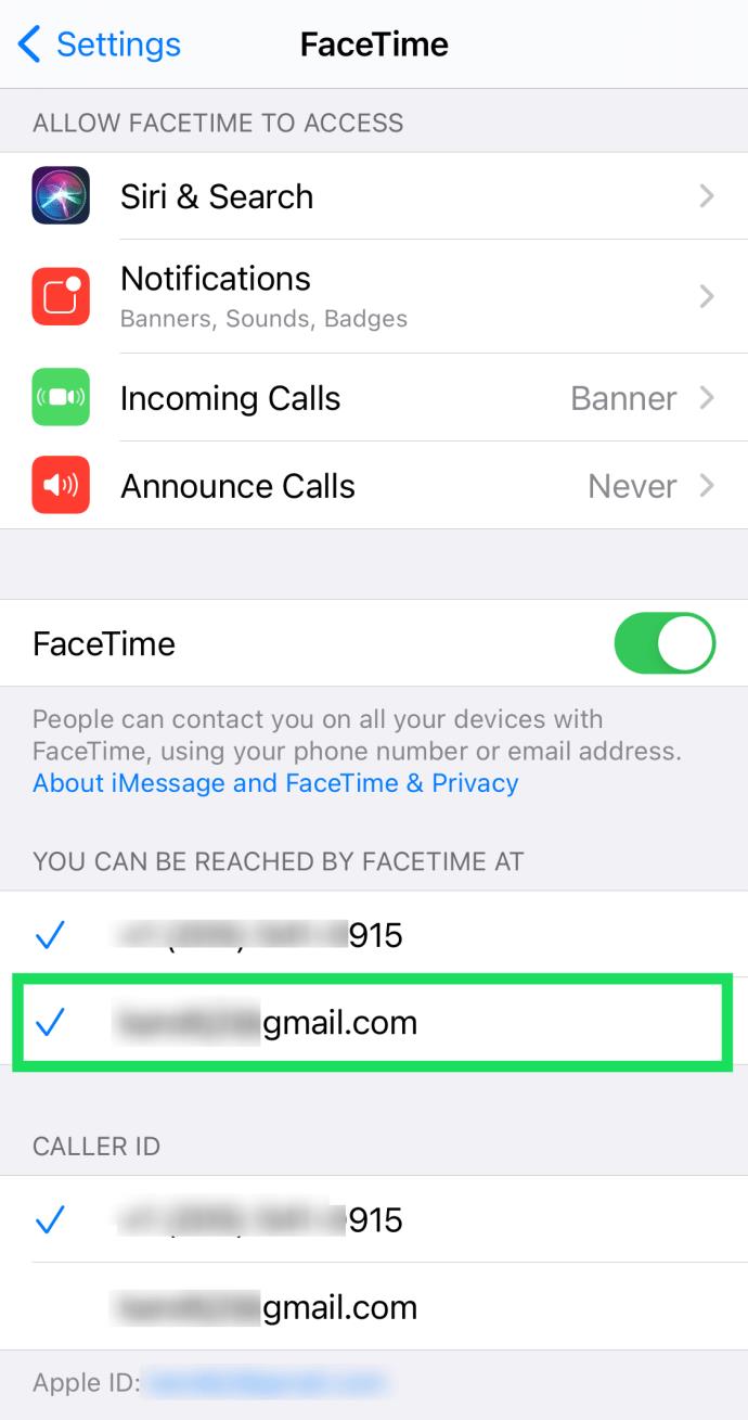 How To View FaceTime Call History On IPhone And IPad