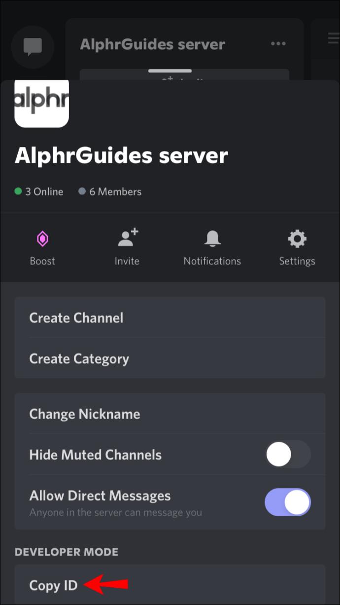 How To Find A Server ID In Discord On A PC Or Smartphone