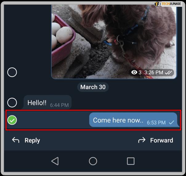 How To Pin And Manage Messages In Telegram