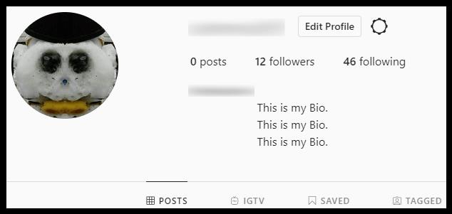 So zentrieren oder positionieren Sie Ihre Instagram-Biografie neu