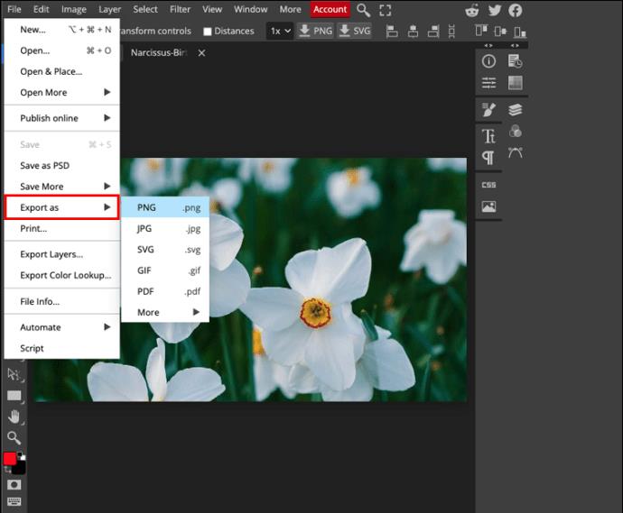 How To Resize An Image In PhotoPea