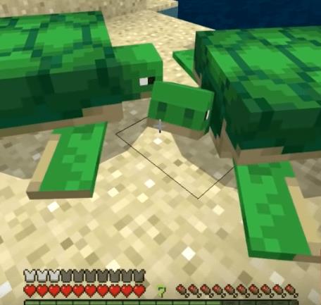 Comment élever des tortues dans Minecraft