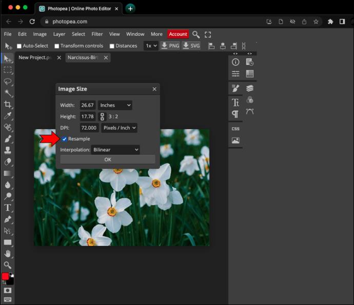 How To Resize An Image In PhotoPea