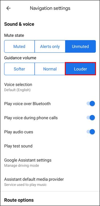 Comment réparer Google Maps Voice ne fonctionne pas