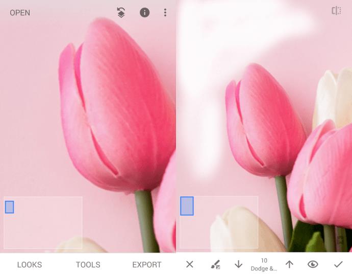 How To Remove Background In Snapseed