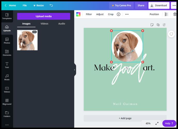 How To Make A Picture Round In Canva