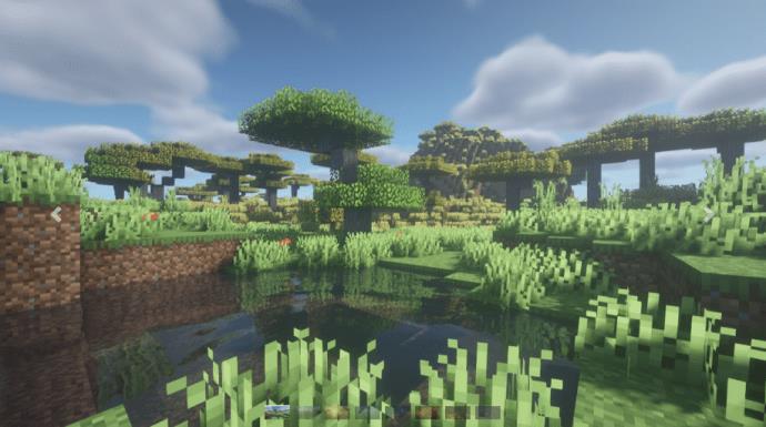 Shaders installeren in Minecraft Forge