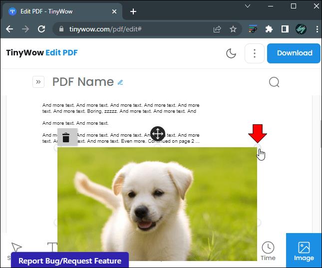 كيفية إضافة صور أو صور إلى ملف PDF