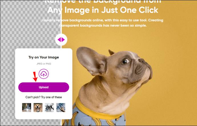 Comment supprimer l'arrière-plan dans Picsart