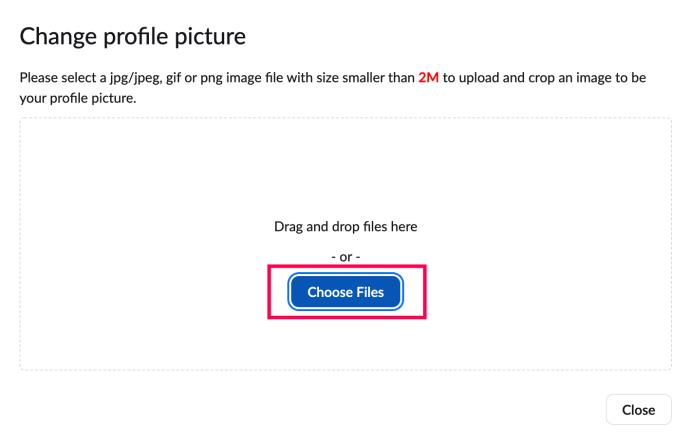 How To Change Or Set Your Profile Picture In Zoom