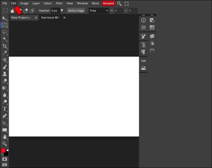 How To Resize An Image In PhotoPea