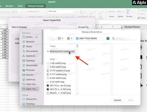 How To Embed A PDF In An Excel File