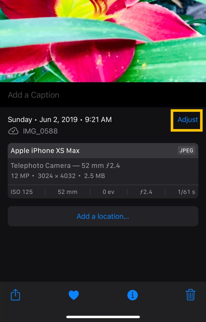 Como adicionar carimbos de data/hora às fotos no iPhone