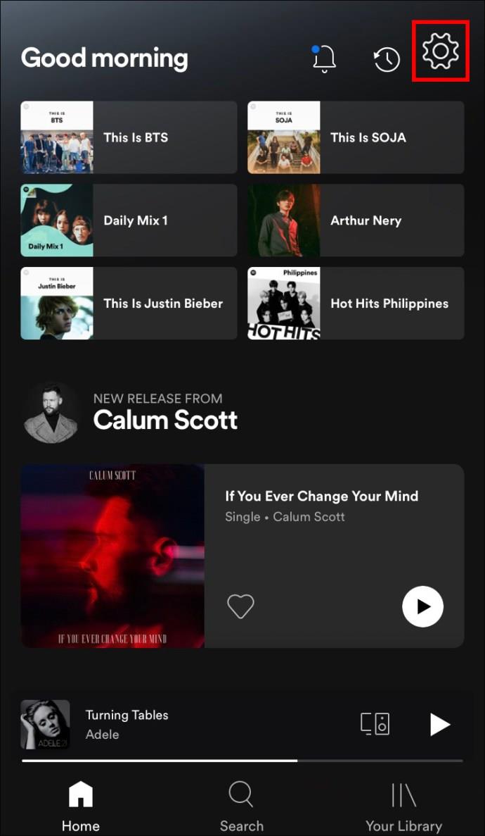 How To Turn On Or Off Canvas In Spotify