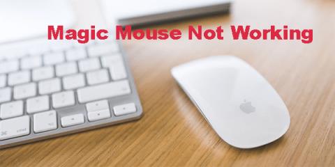 Comment réparer une souris magique qui ne fonctionne pas