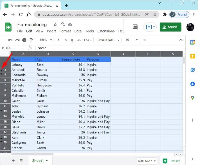 Comment supprimer des lignes masquées dans Google Sheets