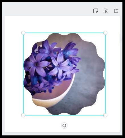 How To Make A Picture Round In Canva