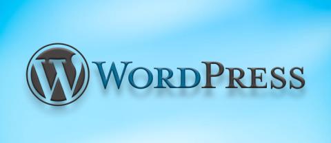 Hoe u een standaardthema in WordPress instelt