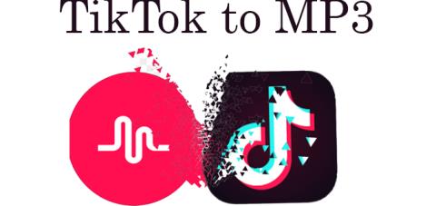 TikTok을 MP3로 다운로드하는 방법