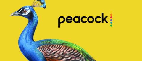 Najlepsze skróty klawiaturowe Peacock TV