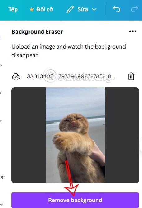 Como criar um fundo transparente no Canva de graça