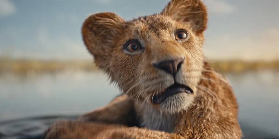 موفاسا: هل يستحق فيلم الأسد الملك المشاهدة؟