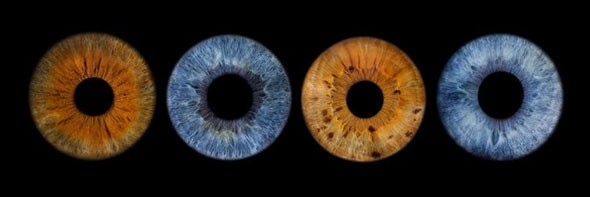 Cada pessoa tem uma cor de olhos diferente. Por que isso acontece? Cada pessoa tem uma cor de olhos diferente. Por que isso acontece?