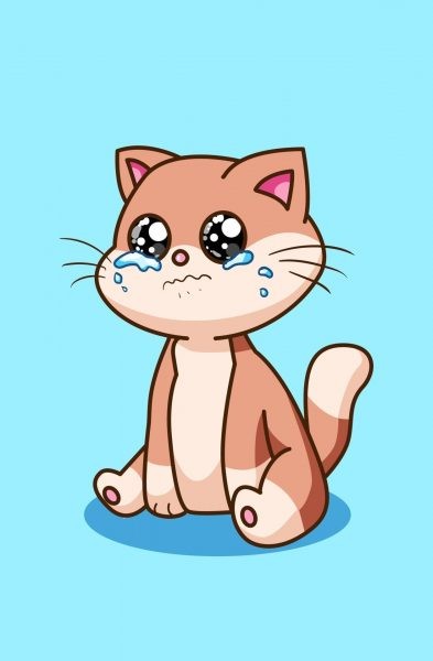 Crying Cat Meme, funny crying cat pictures