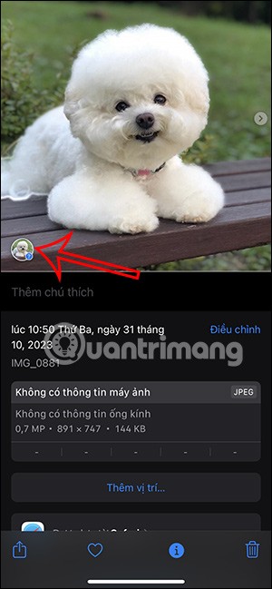 Как отметить домашних животных на фотографиях iPhone